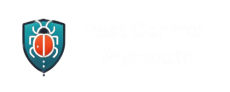 All-Star Pest Control Plymouth